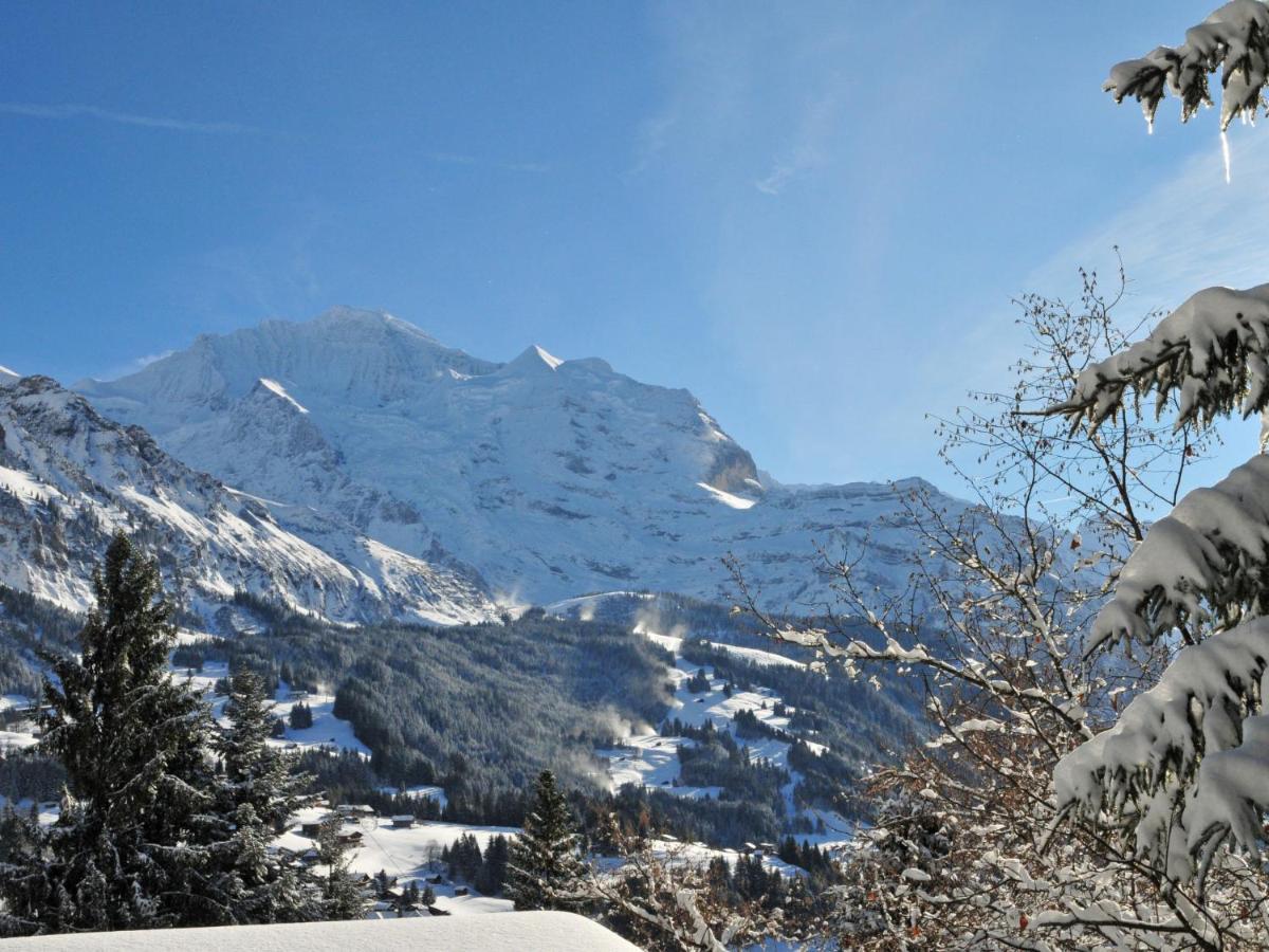 Apartment Im Gruebi-1 By Interhome Wengen Exteriér fotografie